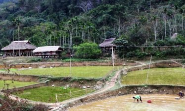 Circuit Trekking: Maichau PuLuong et Citadel d’Ho