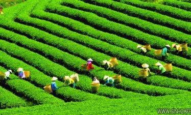 Da Lat Countryside Tour