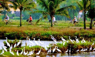 Da Nang – Hoi An 01 Day