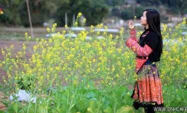 Mai Chau trekking hill tribe discovery 06 Days