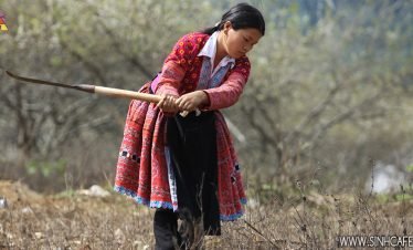 Mai Chau trekking 03 Days