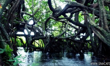 Nam Cat Tien National Park trekking 02 Days
