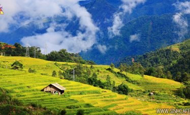 Sapa – Ta Van – Ban Ho 04 Days