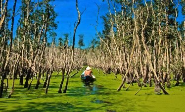 Cao Lanh – Long Xuyen – Chau Doc – Can Tho – Cai Rang 3 Days 2 Nights