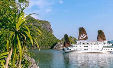 Vietnam Opentour – Group Tour 08 Days