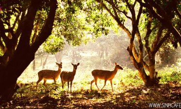Cuc Phuong National Park – Mai Chau