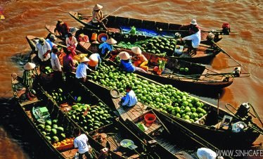 One – Day Mekong Delta Trip: Cai Be & Vinh Long