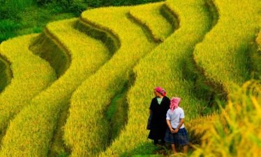 Sapa TaVan BanHo – chez l’habitant 4 jours