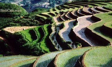 Voyage Halal – Hanoi – Sapa – Baie d’Halong