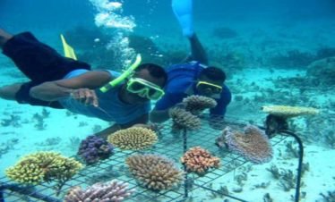 Voyage en voiture a Mun Island