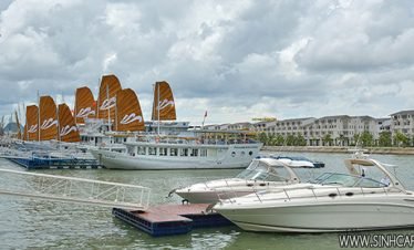 Paradise Sails Cruise 2Days 1Night