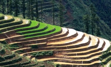 Circuit trekking à Sapa 3 jours