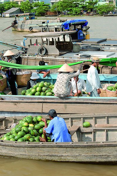 5. Mekong Delta Tours